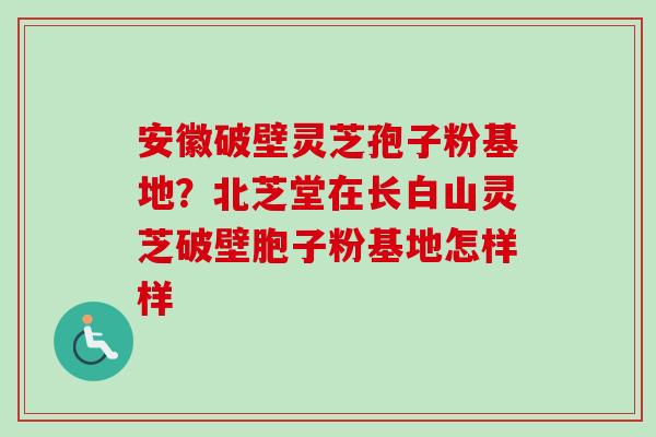 安徽破壁灵芝孢子粉基地？北芝堂在长白山灵芝破壁胞子粉基地怎样样