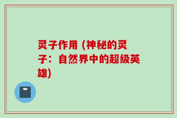 灵子作用 (神秘的灵子：自然界中的超级英雄)
