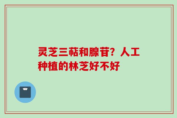 灵芝三萜和腺苷？人工种植的林芝好不好