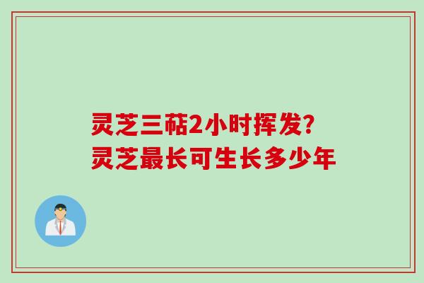 灵芝三萜2小时挥发？灵芝最长可生长多少年