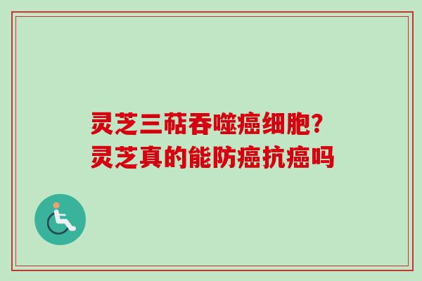 灵芝三萜吞噬细胞？灵芝真的能防抗吗