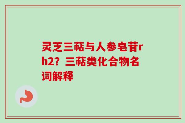 灵芝三萜与人参皂苷rh2？三萜类化合物名词解释