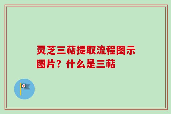 灵芝三萜提取流程图示图片？什么是三萜