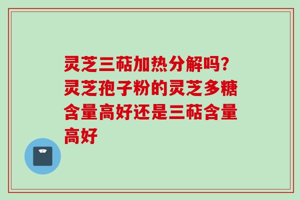 灵芝三萜加热分解吗？灵芝孢子粉的灵芝多糖含量高好还是三萜含量高好