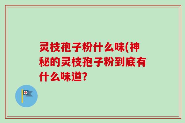灵枝孢子粉什么味(神秘的灵枝孢子粉到底有什么味道? 灵枝孢子粉什么味(神秘的灵枝孢子粉到底有什么味道?