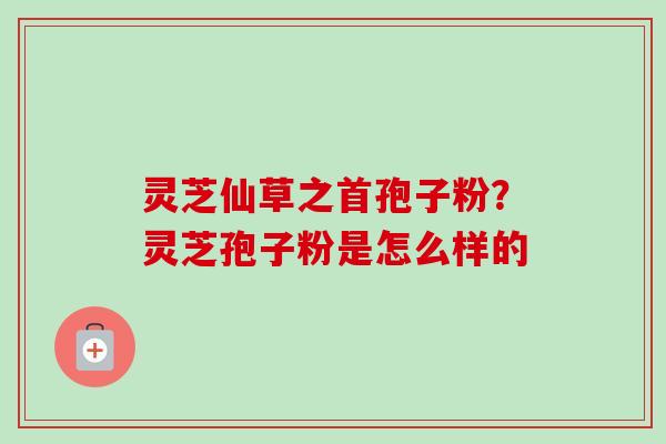 灵芝仙草之首孢子粉？灵芝孢子粉是怎么样的