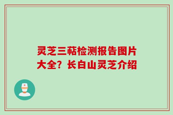 灵芝三萜检测报告图片大全？长白山灵芝介绍