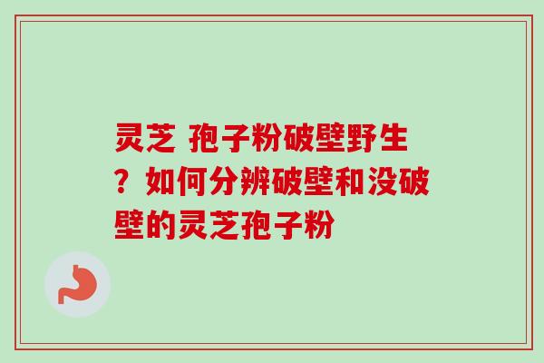 灵芝 孢子粉破壁野生？如何分辨破壁和没破壁的灵芝孢子粉