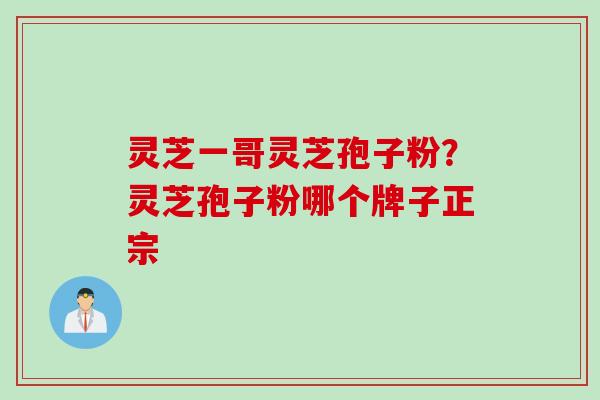 灵芝一哥灵芝孢子粉？灵芝孢子粉哪个牌子正宗