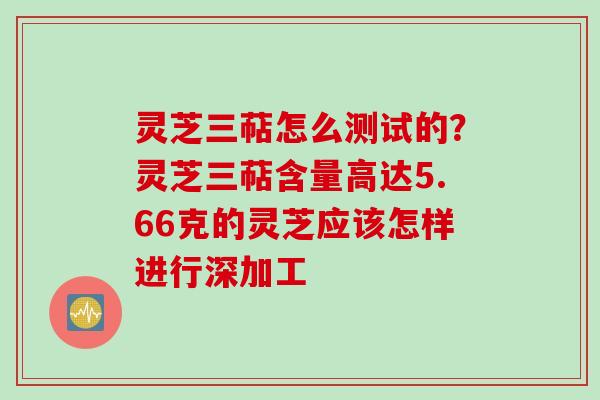 灵芝三萜怎么测试的？灵芝三萜含量高达5.66克的灵芝应该怎样进行深加工