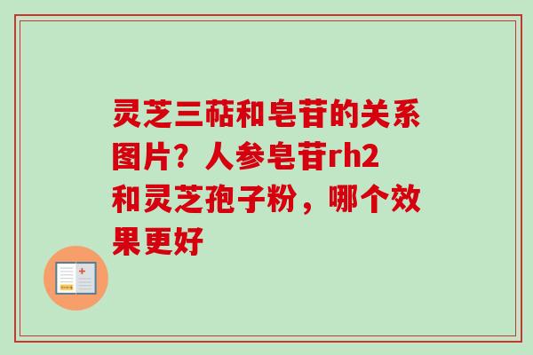 灵芝三萜和皂苷的关系图片?人参皂苷rh2和灵芝孢子粉,哪个效果更好 灵芝三萜和皂苷的关系图片?人参皂苷rh2和灵芝孢子粉,哪个效果更好