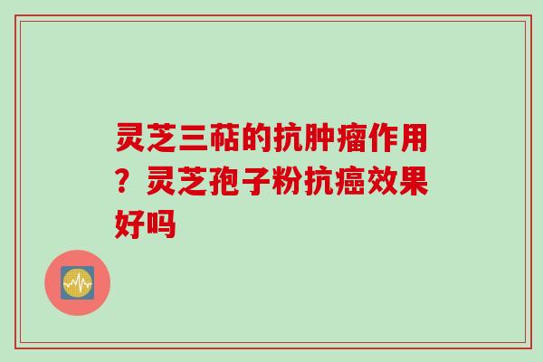 灵芝三萜的抗肿瘤作用？灵芝孢子粉抗癌效果好吗