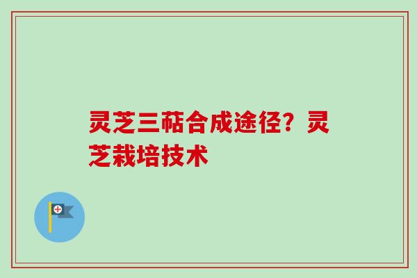 灵芝三萜合成途径？灵芝栽培技术
