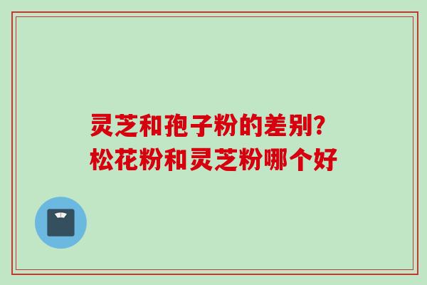 灵芝和孢子粉的差别？松花粉和灵芝粉哪个好