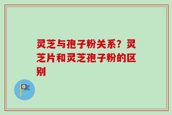 灵芝与孢子粉关系？灵芝片和灵芝孢子粉的区别