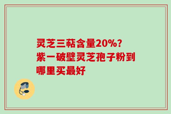 灵芝三萜含量20%？紫一破壁灵芝孢子粉到哪里买最好