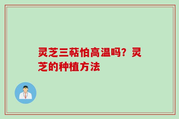 灵芝三萜怕高温吗？灵芝的种植方法