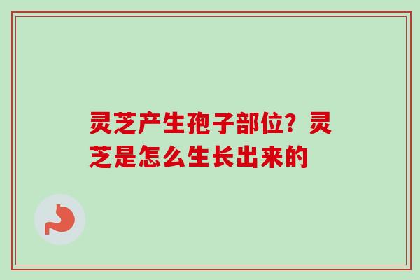 灵芝产生孢子部位？灵芝是怎么生长出来的