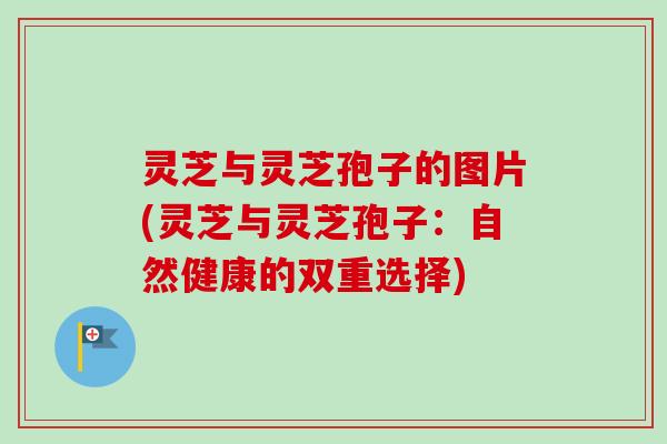 灵芝与灵芝孢子的图片(灵芝与灵芝孢子：自然健康的双重选择)