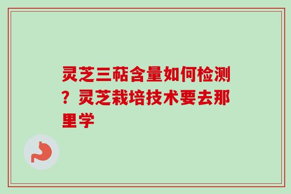 灵芝三萜含量如何检测？灵芝栽培技术要去那里学