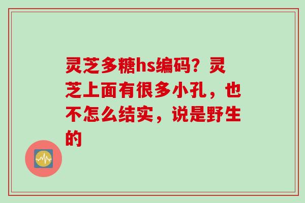 灵芝多糖hs编码？灵芝上面有很多小孔，也不怎么结实，说是野生的