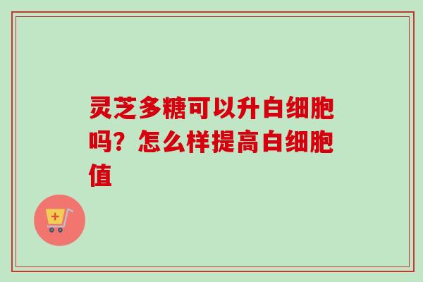 灵芝多糖可以升白细胞吗？怎么样提高白细胞值