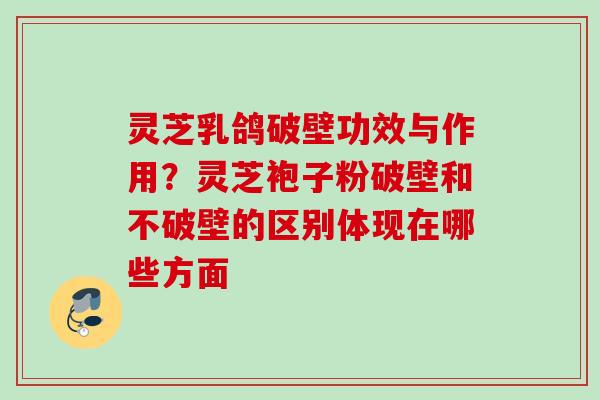 灵芝乳鸽破壁功效与作用？灵芝袍子粉破壁和不破壁的区别体现在哪些方面