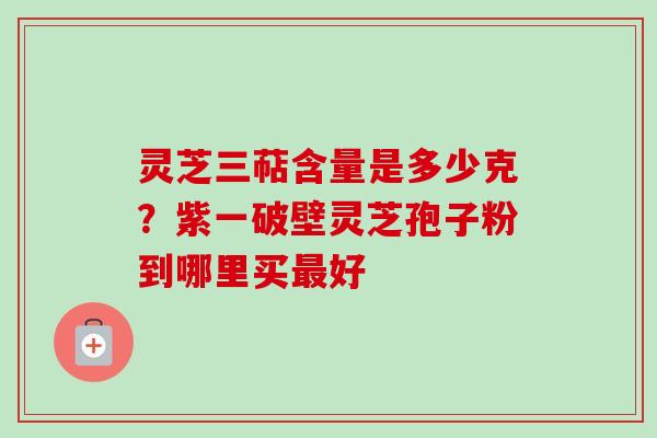灵芝三萜含量是多少克？紫一破壁灵芝孢子粉到哪里买最好