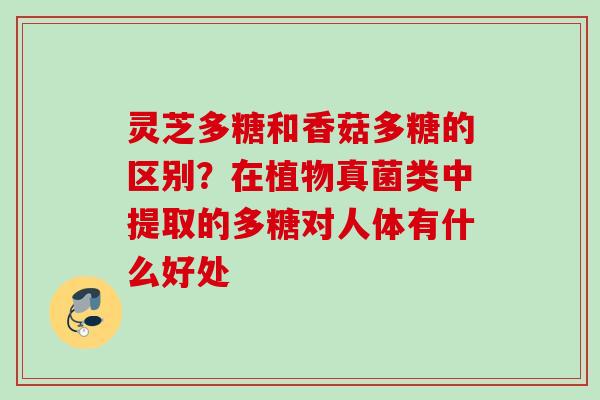 灵芝多糖和香菇多糖的区别？在植物真菌类中提取的多糖对人体有什么好处