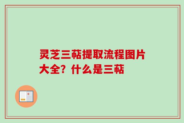 灵芝三萜提取流程图片大全？什么是三萜
