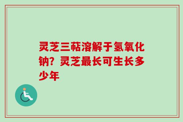 灵芝三萜溶解于氢氧化钠？灵芝最长可生长多少年