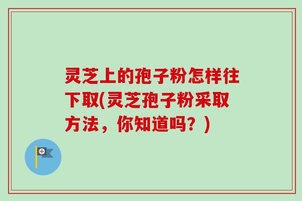 灵芝上的孢子粉怎样往下取(灵芝孢子粉采取方法，你知道吗？)