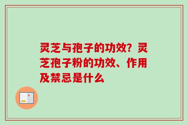 灵芝与孢子的功效？灵芝孢子粉的功效、作用及禁忌是什么