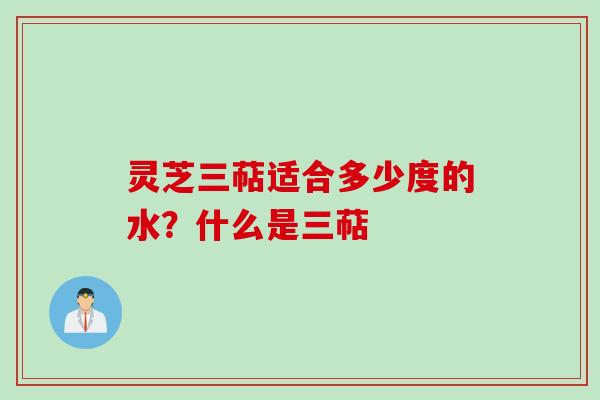 灵芝三萜适合多少度的水？什么是三萜
