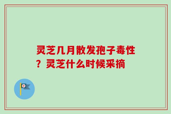 灵芝几月散发孢子毒性？灵芝什么时候采摘