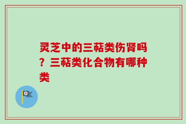 灵芝中的三萜类伤肾吗？三萜类化合物有哪种类
