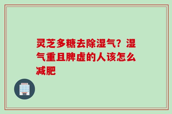灵芝多糖去除湿气？湿气重且脾虚的人该怎么减肥