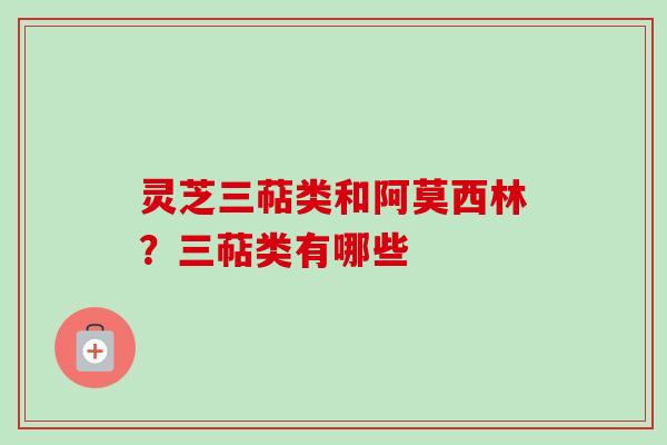 灵芝三萜类和阿莫西林？三萜类有哪些