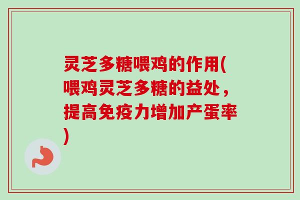 灵芝多糖喂鸡的作用(喂鸡灵芝多糖的益处，提高免疫力增加产蛋率)