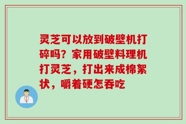 灵芝可以放到破壁机打碎吗？家用破壁料理机打灵芝，打出来成棉絮状，嚼着硬怎吞吃
