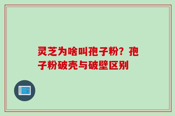 灵芝为啥叫孢子粉？孢子粉破壳与破壁区别
