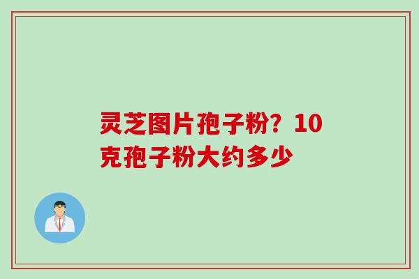 灵芝图片孢子粉？10克孢子粉大约多少