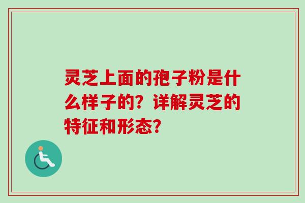 灵芝上面的孢子粉是什么样子的？详解灵芝的特征和形态？