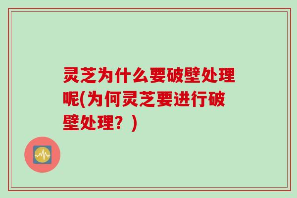 灵芝为什么要破壁处理呢(为何灵芝要进行破壁处理？)