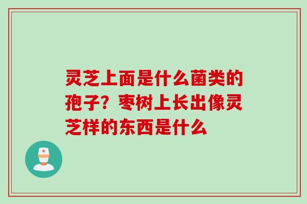 灵芝上面是什么菌类的孢子？枣树上长出像灵芝样的东西是什么