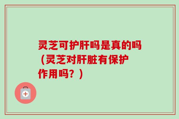灵芝可护肝吗是真的吗 (灵芝对肝脏有保护作用吗？)
