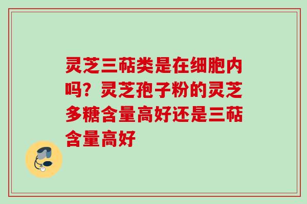 灵芝三萜类是在细胞内吗?灵芝孢子粉的灵芝多糖含量高好还是三萜含量高好 灵芝三萜类是在细胞内吗?灵芝孢子粉的灵芝多糖含量高好还是三萜含量高好