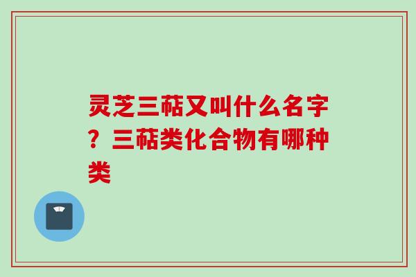 灵芝三萜又叫什么名字？三萜类化合物有哪种类