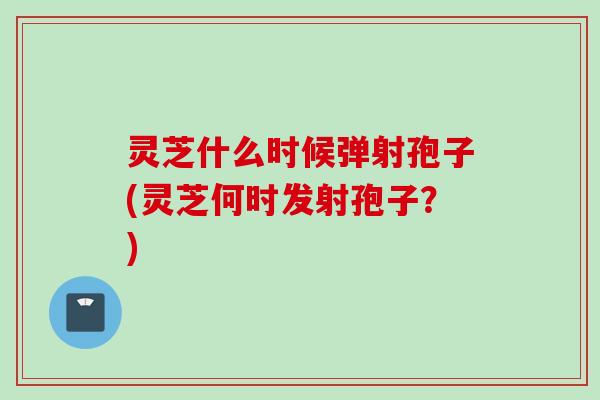 灵芝什么时候弹射孢子(灵芝何时发射孢子?) 灵芝什么时候弹射孢子(灵芝何时发射孢子?)