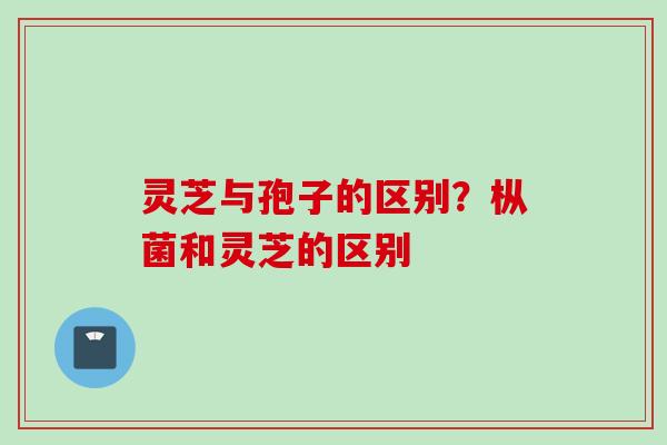 灵芝与孢子的区别?枞菌和灵芝的区别 灵芝与孢子的区别?枞菌和灵芝的区别